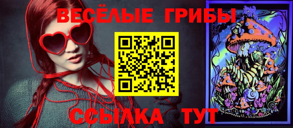 Галлюциногенные грибы Magic Shrooms Петропавловск-Камчатский