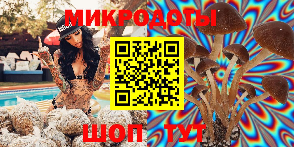 Галлюциногенные грибы MAGIC MUSHROOMS  продажа наркотиков  Петропавловск-Камчатский  Вход с VPN 